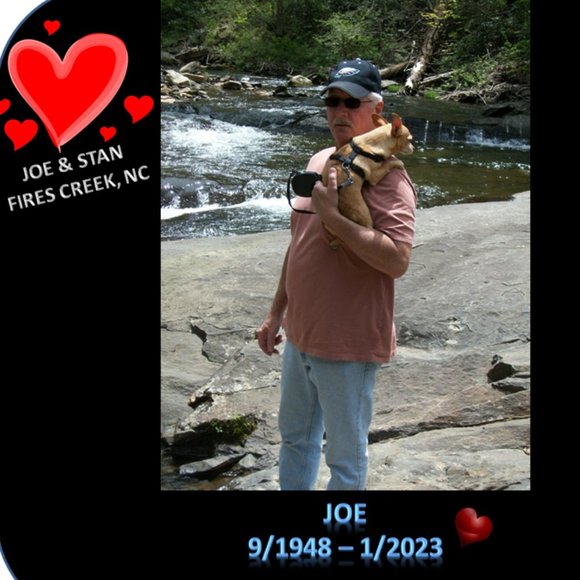 Meet your Posher, Cindy - Picture 4 of 6